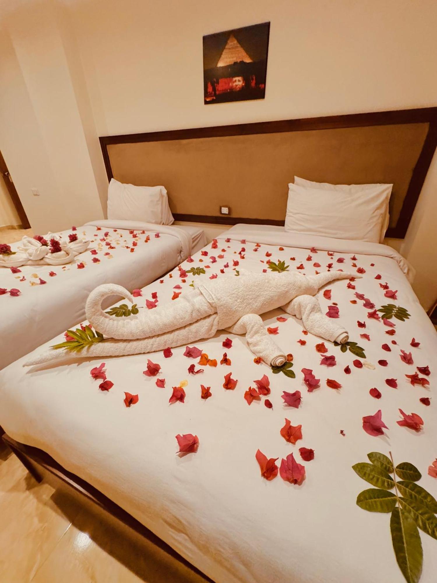 Hotel Flower Pyramids 3*